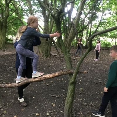 IMG1261