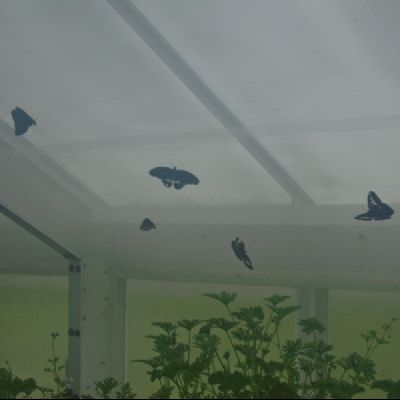 DSC04030
