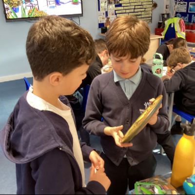 Years 5 & 6 History: Ancient Greece Museum Loan Box