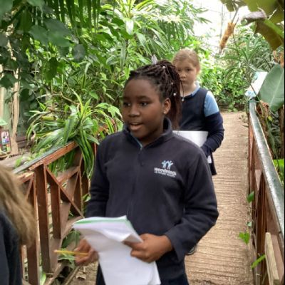Years 5 & 6 Living Rainforest Visit