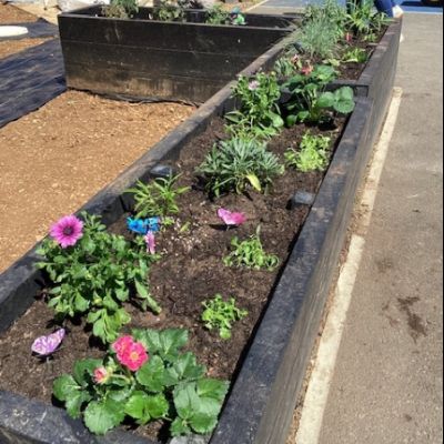 KS1 Gardening Morning